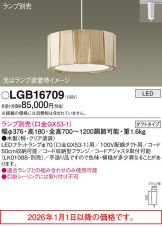 LGB16709