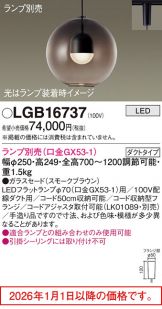 LGB16737