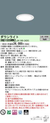 XND1009WWZLJ9