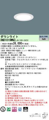 XND1019WNZLJ9