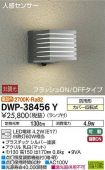 DWP-38456Y