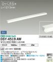 DSY-4519AW