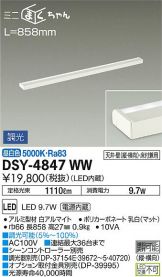 DSY-4847WW
