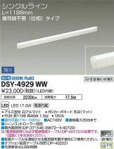 DSY-4929WWDS