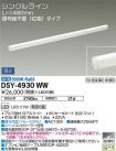DSY-4930WW
