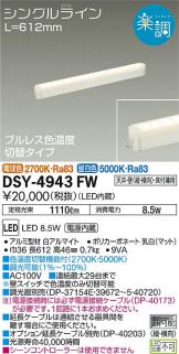 DSY-4943FWDS