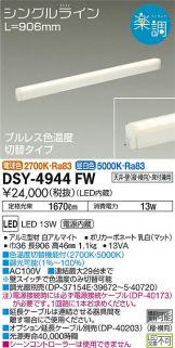 DSY-4944FWDS
