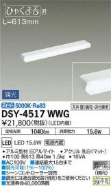 DSY-4517WWG