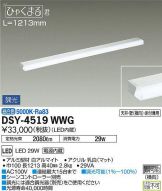 DSY-4519WWG