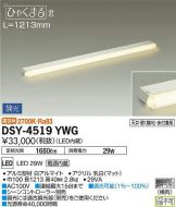 DSY-4519YWG