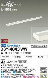 DSY-4843WW