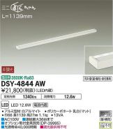 DSY-4844AW