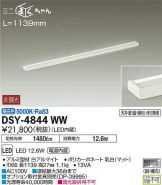 DSY-4844WW