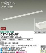 DSY-4845AW