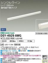 DSY-4929AWG