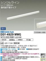 DSY-4929WWG