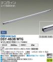 DSY-4638WTG