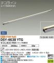 DSY-4638YTG