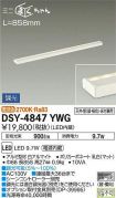 DSY-4847YWG