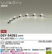 DSY-54261