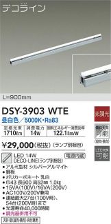 DSY-3903WTE