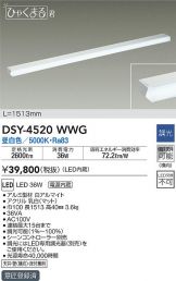 DSY-4520WWG