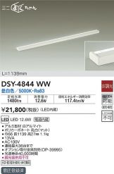 DSY-4844WW
