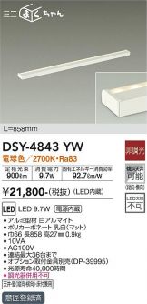 DSY-4843YW
