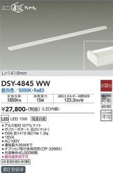 DSY-4845WW