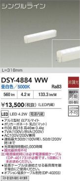 DSY-4884WW