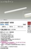 DSY-4887WW