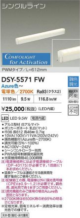 DSY-5571FW