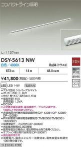 DSY-5613NW