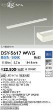DSY-5617WWG