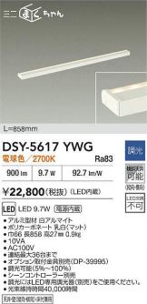 DSY-5617YWG