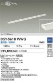 DSY-5618WWG