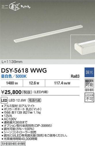 DSY-5618WWG