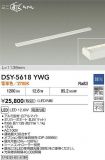 DSY-5618YWG