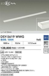 DSY-5619WWG