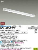 DOL-4953WW