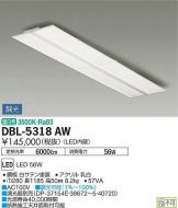 DBL-5318AW