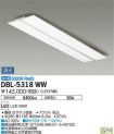 DBL-5318WW