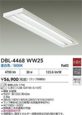 DBL-4468WW25