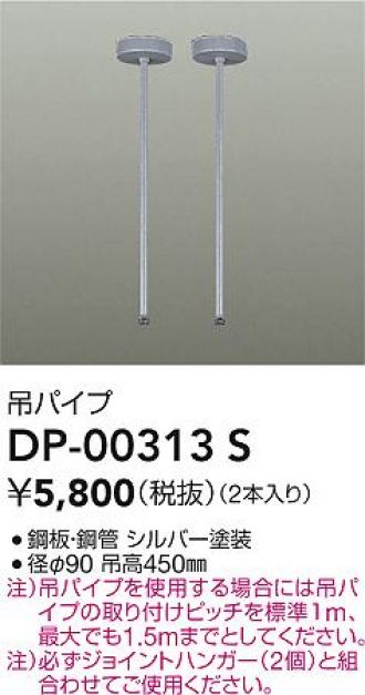 DP-00313S