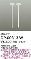 DP-00313W