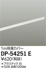 DP-54251EDS