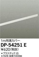 DP-54251E
