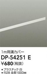 DP-54251E