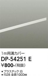 DP-54251E