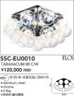 SSC-EU0010